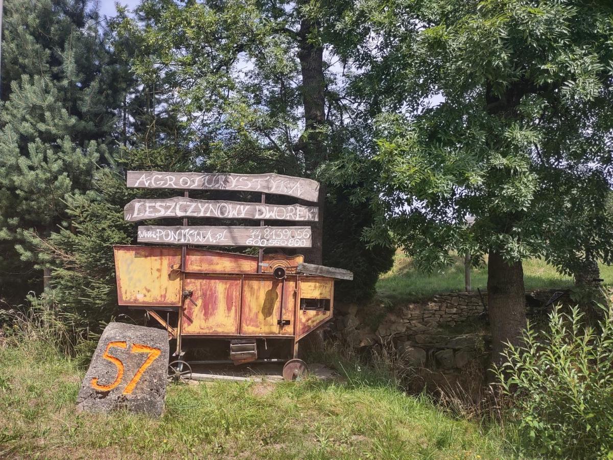 Agroturystyka Leszczynowy Dworek Ponikwa  外观 照片