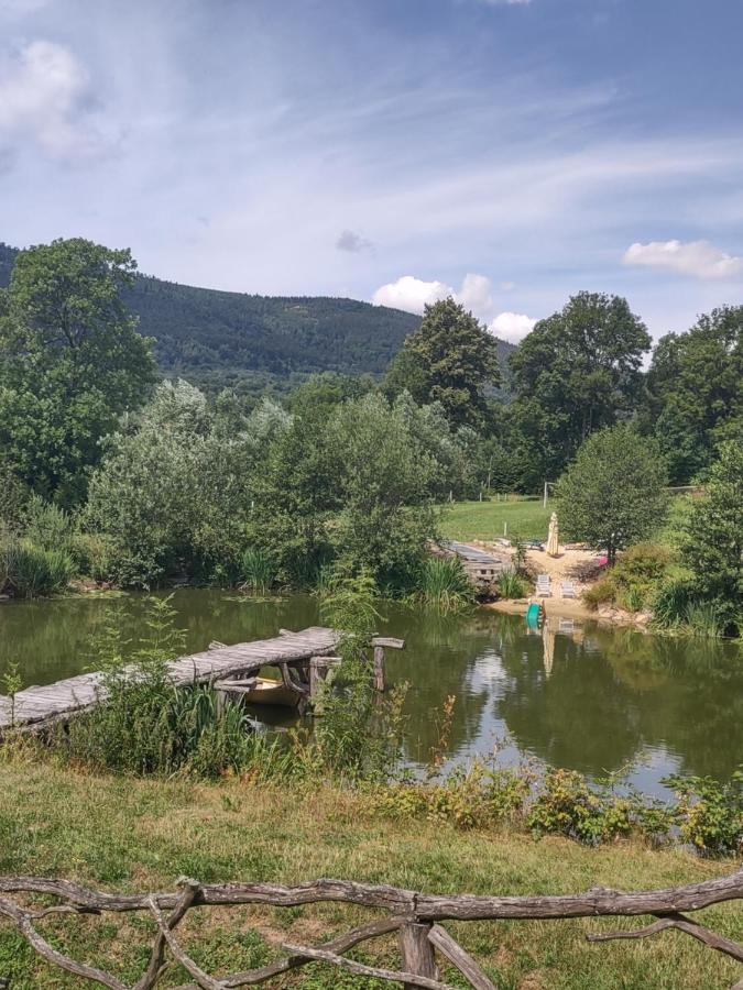 Agroturystyka Leszczynowy Dworek Ponikwa  外观 照片